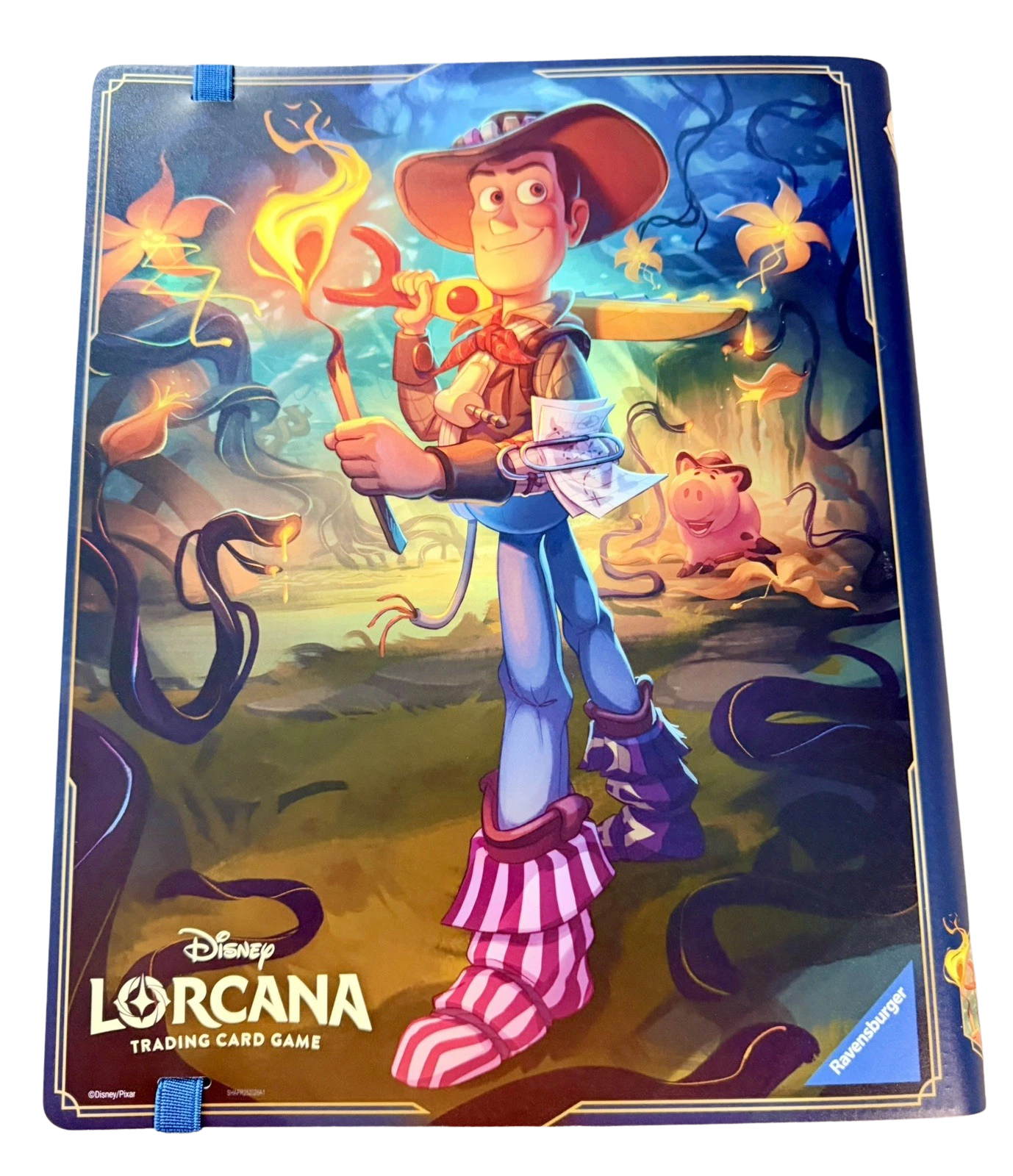 Woody and Buzz card portfolio back